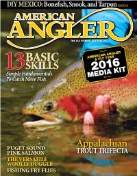 Fly Tyer 13 Skills 2016 Simple Fundamentals Media Kit to Catch More Fish We