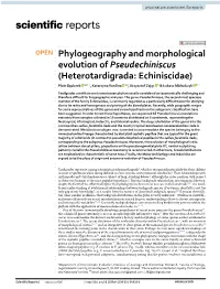 Phylogeography and Morphological Evolution of Pseudechiniscus