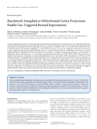 Basolateral Amygdala to Orbitofrontal Cortex Projections Enable Cue-Triggered Reward Expectations