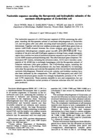 Nucleotide Sequence Encoding the Flavoprotein and Hydrophobic Subunits of the Succinate Dehydrogenase of Escherichia Coli