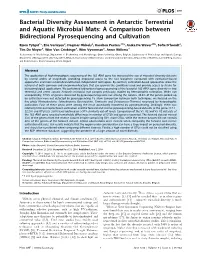 Bacterial Diversity Assessment in Antarctic Terrestrial and Aquatic Microbial Mats: a Comparison Between Bidirectional Pyrosequencing and Cultivation