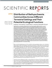 Distribution of Bathyarchaeota Communities Across Different Terrestrial Settings and Their Potential Ecological Functions