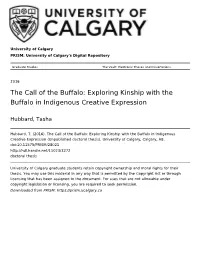 Exploring Kinship with the Buffalo in Indigenous Creative Expression