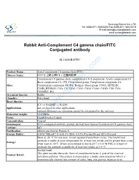 Rabbit Anti-Complement C4 Gamma Chain/FITC Conjugated Antibody