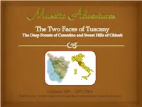 Two Faces of Tuscany Deep Forests of Casentino and Sweet Hils of Chianti