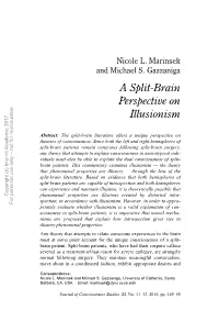 A Split-Brain Perspective on Illusionism
