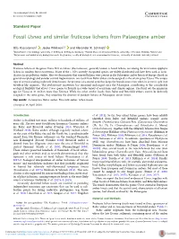 Fossil Usnea and Similar Fruticose Lichens from Palaeogene Amber