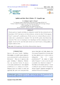 IV: Lipaphis Spp