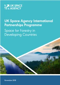 Space for Forestry in Developing Countries