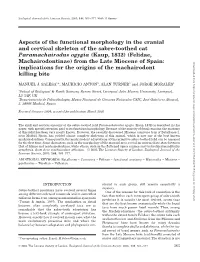 Aspects of the Functional Morphology in the Cranial and Cervical Skeleton of the Sabre-Toothed Cat Paramachairodus Ogygia (Kaup, 1832) (Felidae