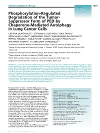 Pedjcellphysiology2014.Pdf
