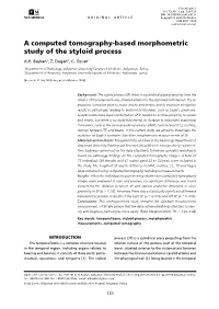 A Computed Tomography-Based Morphometric Study of the Styloid Process A.H