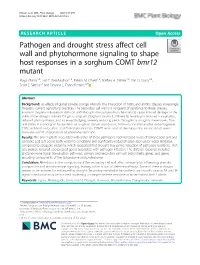 Pathogen and Drought Stress Affect Cell Wall and Phytohormone Signaling to Shape Host Responses in a Sorghum COMT Bmr12 Mutant Maya Khasin1,2, Lois F