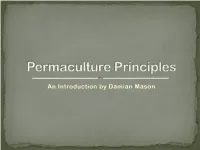 Permaculture Principles