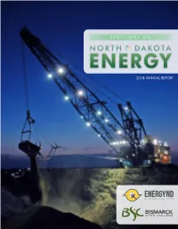 2018 Annual Report