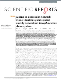 A Gene Co-Expression Network Model Identifies Yield-Related Vicinity