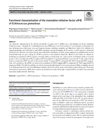 Functional Characterization of the Translation Initiation Factor Eif4e of Echinococcus Granulosus