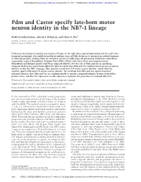 Pdm and Castor Specify Late-Born Motor Neuron Identity in the NB7-1 Lineage