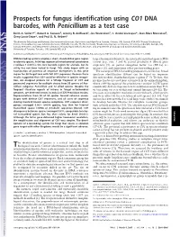 Prospects for Fungus Identification Using CO1 DNA Barcodes, with Penicillium As a Test Case