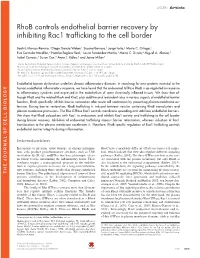 Rhob Controls Endothelial Barrier Recovery by Inhibiting Rac1 Trafficking to the Cell Border