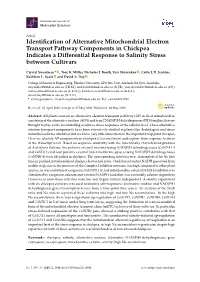 Identification of Alternative Mitochondrial Electron Transport