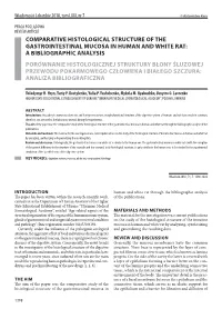 Comparative Histological Structure of the Gastrointestinal Mucosa in Human and White Rat: a Bibliographic Analysis Porównanie