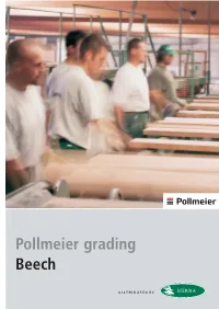 Pollmeier Grading Beech