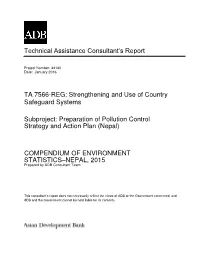 Technical Assistance Consultant's Report