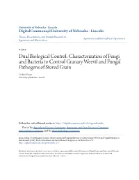 Characterization of Fungi and Bacteria to Control Granary Weevil and Fungal Pathogens of Stored Grain Gülçin Ercan University of Nebraska - Lincoln