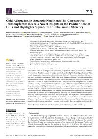Cold Adaptation in Antarctic Notothenioids