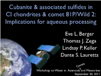 Cubanite & Associated Sulfides in CI Chondrites & Comet 81P/Wild 2