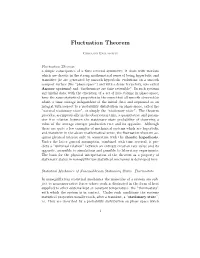 Fluctuation Theorem