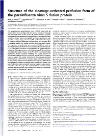 Structure of the Cleavage-Activated Prefusion Form of the Parainfluenza Virus 5 Fusion Protein