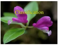 Sexual System • However, This Classification System Was a Backward Step to Artificial! Linnaeus - Sexual System