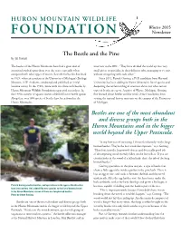 The Beetle and the Pine Beetles Are One of the Most Abundant And