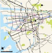 Download the PDF of the Guide to the Surrounding Area