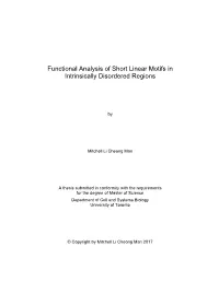 Functional Analysis of Short Linear Motifs in Intrinsically Disordered Regions