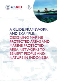 Guide Framework and Example