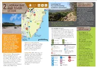 LADRAM BAY 4 Hours Fun and Healthy