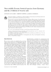New Middle Eocene Formicid Species from Germany and the Evolution of Weaver Ants