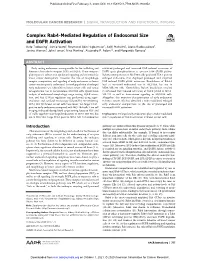 Complex Rab4-Mediated Regulation of Endosomal Size and EGFR Activation