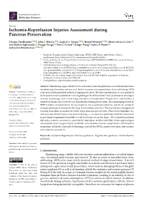 Ischemia-Reperfusion Injuries Assessment During Pancreas Preservation