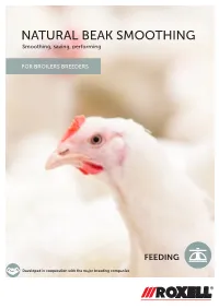 NATURAL BEAK SMOOTHING Smoothing, Saving, Performing
