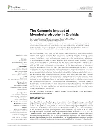The Genomic Impact of Mycoheterotrophy in Orchids