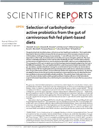 Active Probiotics from the Gut of Carnivorous Fish Fed Plant-Based Diets