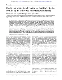 Capture of a Functionally Active Methyl-Cpg Binding Domain by an Arthropod Retrotransposon Family