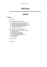 The Current-/Voltage-Clamp