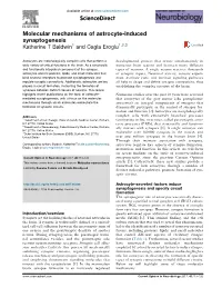 Molecular Mechanisms of Astrocyte-Induced Synaptogenesis