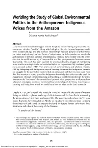 Worlding the Study of Global Environmental Politics in the Anthropocene: Indigenous Voices from the Amazon • Cristina Yumie Aoki Inoue*