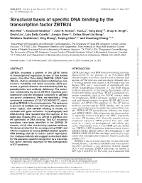 Structural Basis of Specific DNA Binding by the Transcription Factor